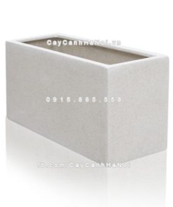 Chautrong cay xi mang cao cap M193