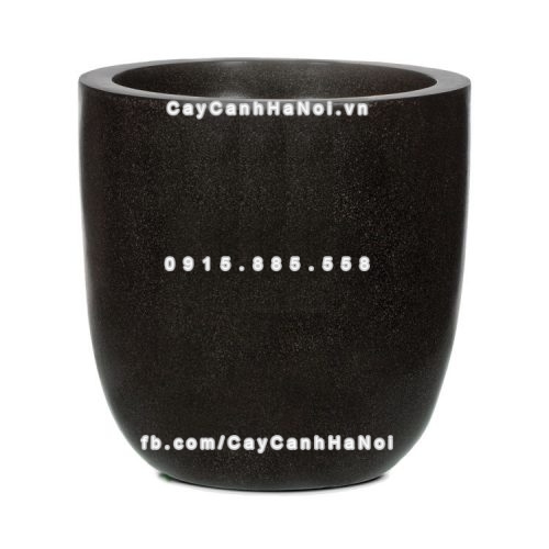 chautrong_cay_xi_mang_cao_cap-m2