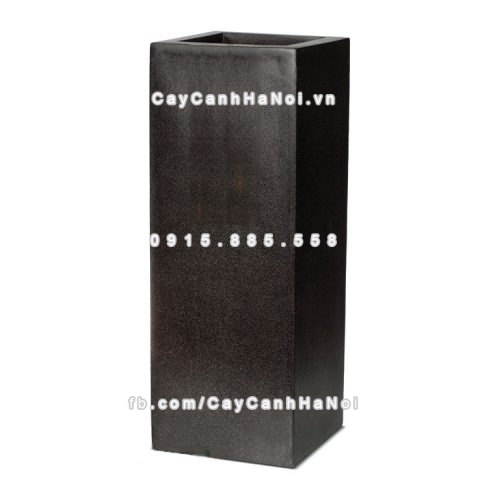 chautrong_cay_xi_mang_cao_cap-m4