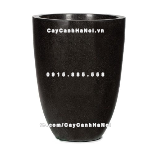 chautrong_cay_xi_mang_cao_cap-m7