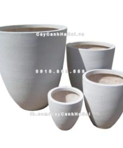 Chautrong cay xi mang cao cap M72