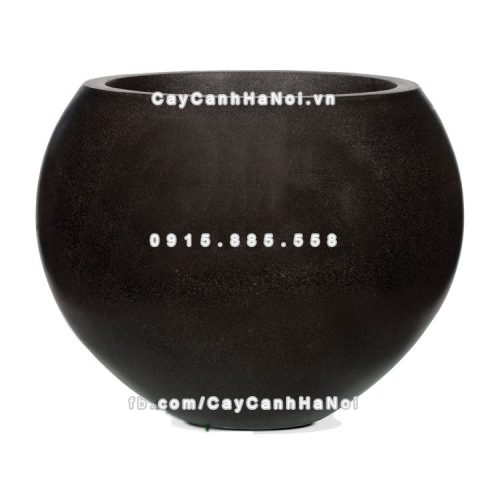 chautrong_cay_xi_mang_cao_cap-m8