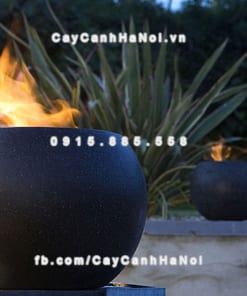 Chautrong cay xi mang cao cap M91