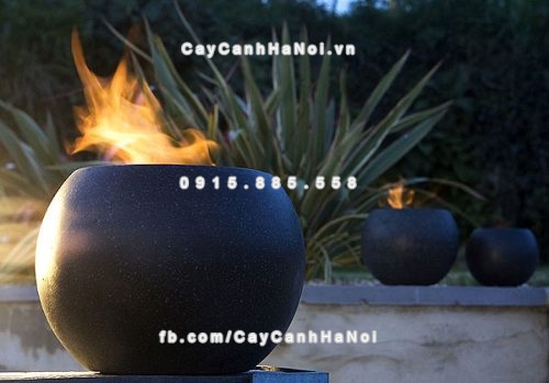 chautrong_cay_xi_mang_cao_cap-m91