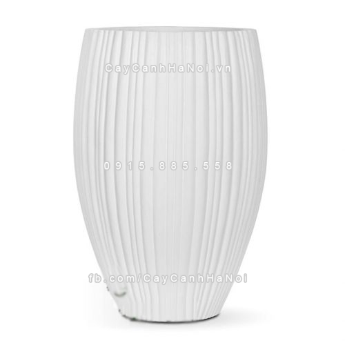 chautrong_cay_xi_mang_cao_cap_soc_doc-m1