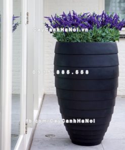 Chậu trồng cây xi măng cao cấp sọc ngang M2 1 Chautrong cay xi mang cao cap soc ngang M21