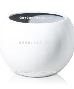 chau composite trong cay cao cap 1091 trang1