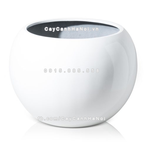 chau_composite_trong_cay_cao_cap_1091_trang1