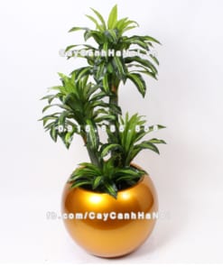 Chậu composite trồng cây cao cấp Anber 1091 (Vàng gold bóng) 1 chau composite trong cay cao cap 1091vang gold bong 1