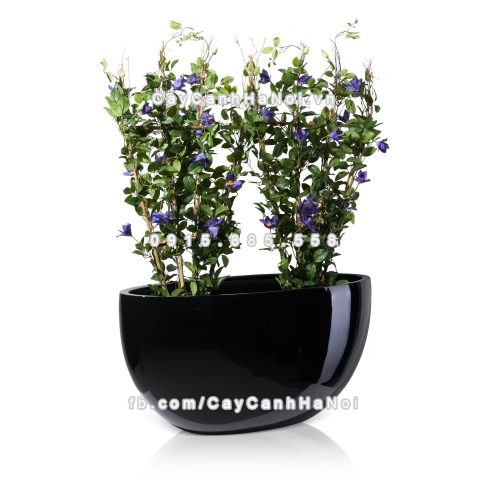 chau_composite_trong_cay_cao_cap_1095-den-bong-3