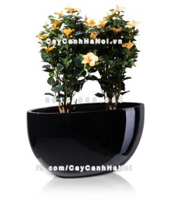 Chậu composite trồng cây cao cấp Anber 1095 (Đen bóng) 3 chau composite trong cay cao cap 1095 den bong 4