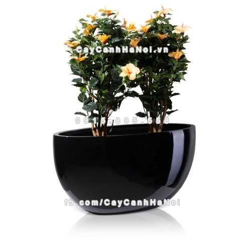 chau_composite_trong_cay_cao_cap_1095-den-bong-4