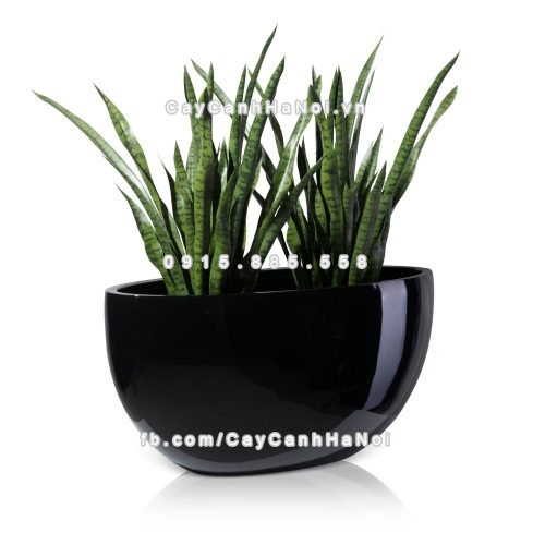 chau_composite_trong_cay_cao_cap_1095-den-bong-5