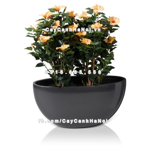 chau_composite_trong_cay_cao_cap_1095-xam-bong-2