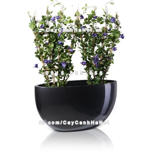 chau_composite_trong_cay_cao_cap_1095-xam-bong-4