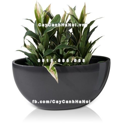 chau_composite_trong_cay_cao_cap_1095-xam-bong-5