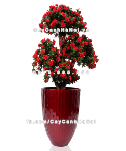 chau composite trong cay cao cap 1100 do2