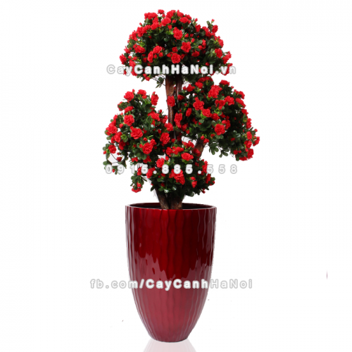 chau_composite_trong_cay_cao_cap_1100_do2