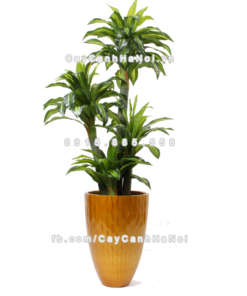 chau composite trong cay cao cap 1100 vang3