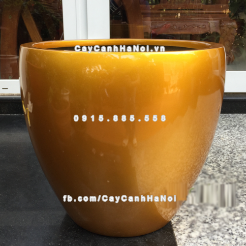 Chậu composite trồng cây cao cấp Anber 1151 (Vàng gold) 2 chau_composite_trong_cay_cao_cap_1151_vang_gold-1