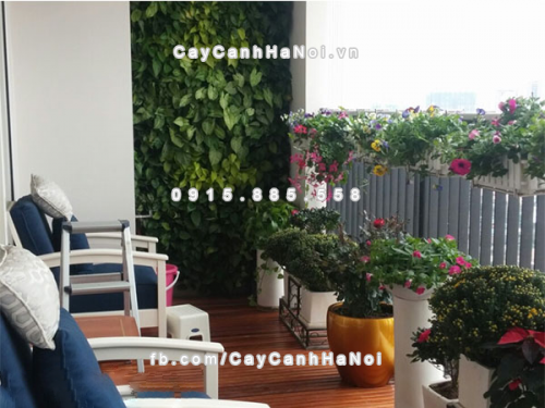 Chậu composite trồng cây cao cấp Anber 1151 (Vàng gold) 1 chau_composite_trong_cay_cao_cap_1151_vang_gold-2