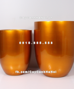 Chậu composite trồng cây cao cấp Anber 1229 (Vàng gold) 2 chau composite trong cay cao cap 1229 vang gold 1