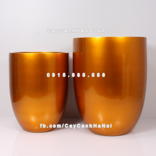chau_composite_trong_cay_cao_cap_1229_vang_gold-1
