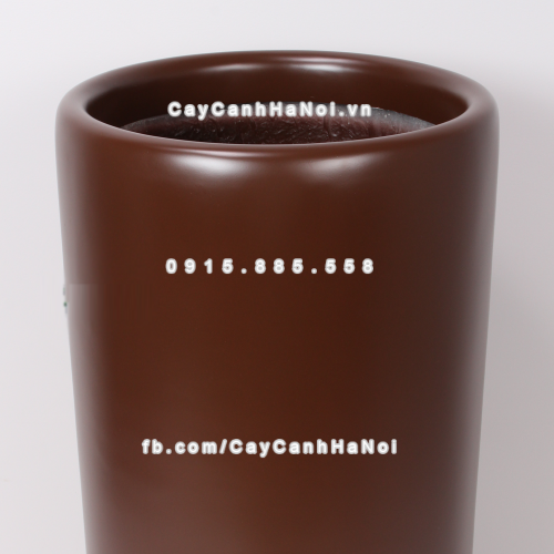 chau_composite_trong_cay_cao_cap_1232_nau-mo-2