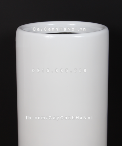 chau composite trong cay cao cap 1232 trang bong 1