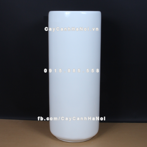 chau_composite_trong_cay_cao_cap_1232_trang-bong-2