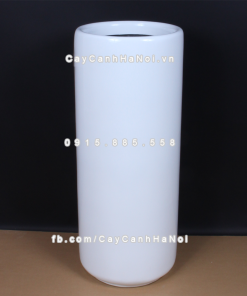 chau composite trong cay cao cap 1232 trang bong 3