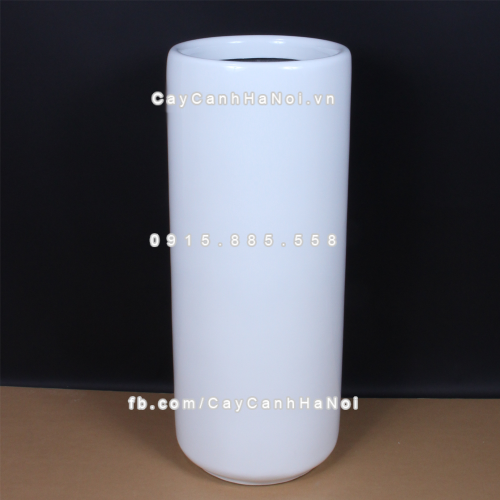 chau_composite_trong_cay_cao_cap_1232_trang-bong-3