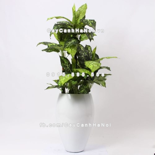 chau_composite_trong_cay_cao_cap_1240-trang-bong-1