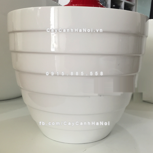 chau_composite_trong_cay_cao_cap_1294-1