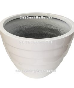 Chậu composite trồng cây cao cấp Anber 1294 1 chau composite trong cay cao cap 1294 2