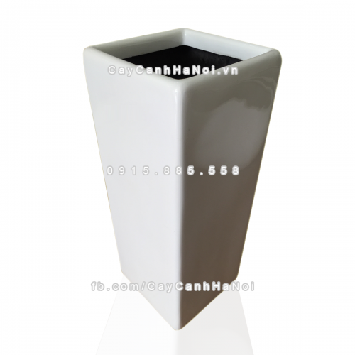 chau_composite_trong_cay_cao_cap_1303trang-bong-1