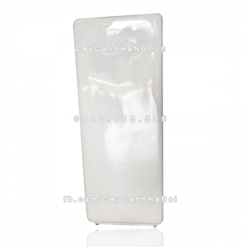 chau_composite_trong_cay_cao_cap_1303trang-bong-2