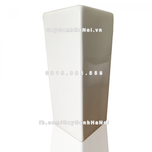 chau_composite_trong_cay_cao_cap_1303trang-bong-3