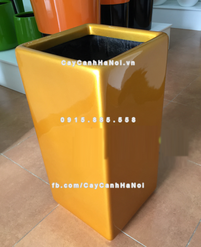 chau_composite_trong_cay_cao_cap_1303vang-gold-bong-2