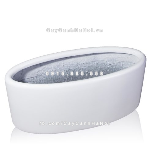 chau_composite_trong_cay_cao_cap_1391-trang-bong-2