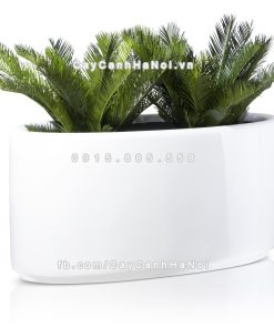 chau composite trong cay cao cap 1391 trang bong 6