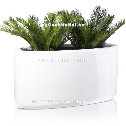 chau_composite_trong_cay_cao_cap_1391-trang-bong-6