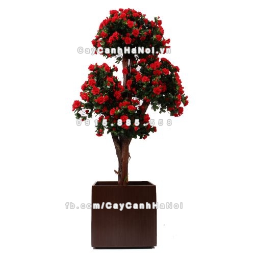 chau_composite_trong_cay_cao_cap_1483_nau_mo-1