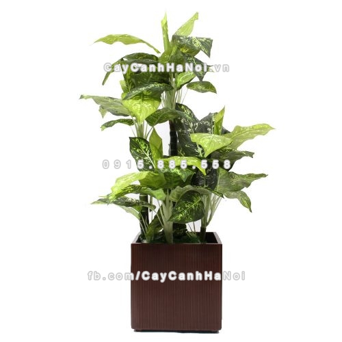 chau_composite_trong_cay_cao_cap_1483_nau_mo-3