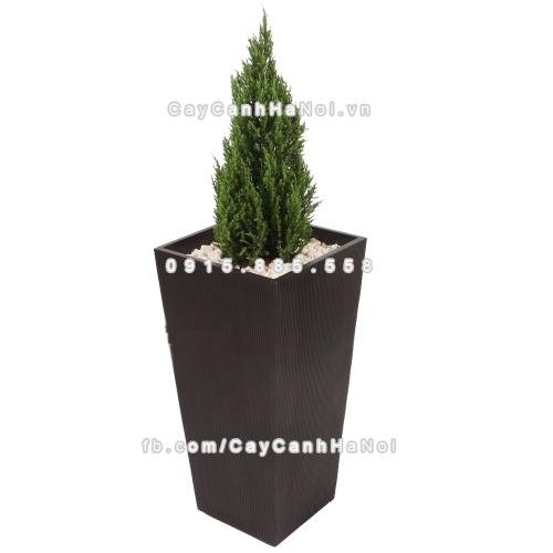 chau_composite_trong_cay_cao_cap_1606_nau_mo-1