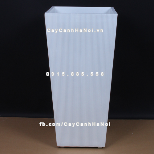 chau_composite_trong_cay_cao_cap_1606_trang_mo-1