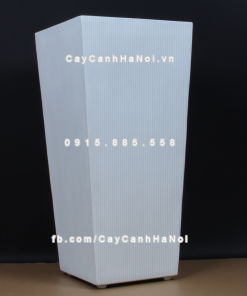 chau composite trong cay cao cap 1606 trang mo 3