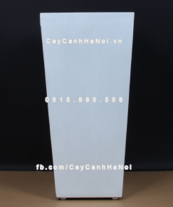 chau composite trong cay cao cap 1606 trang mo 4