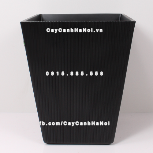 chau_composite_trong_cay_cao_cap_1607-2