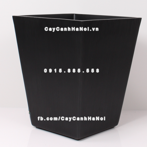 chau_composite_trong_cay_cao_cap_1607-3